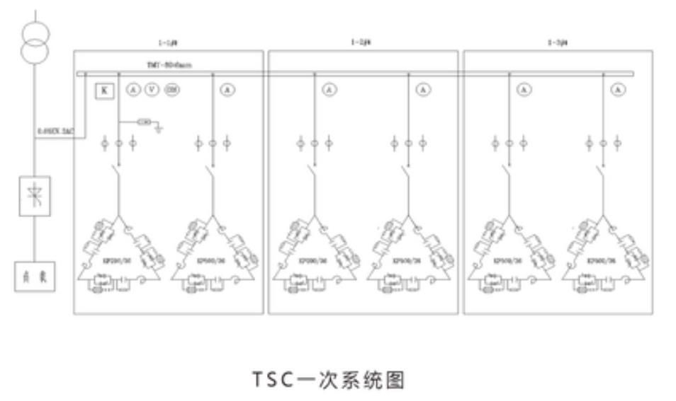 TSC-yc.jpg